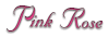 Pink Rose